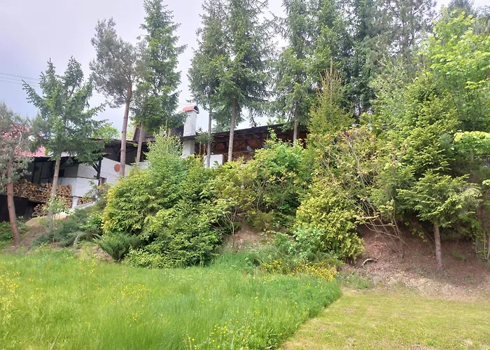 Farma Zdrowia
