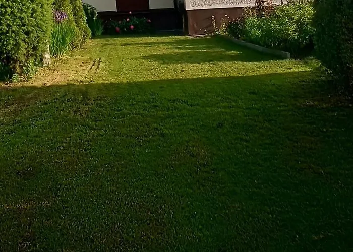 Do Wynajęcia