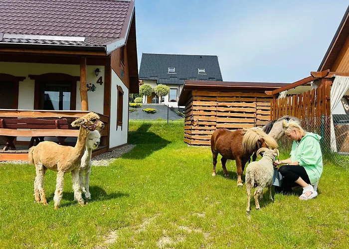 Domek Eden 1 Kaszuby balia sauna alpaki mini zoo