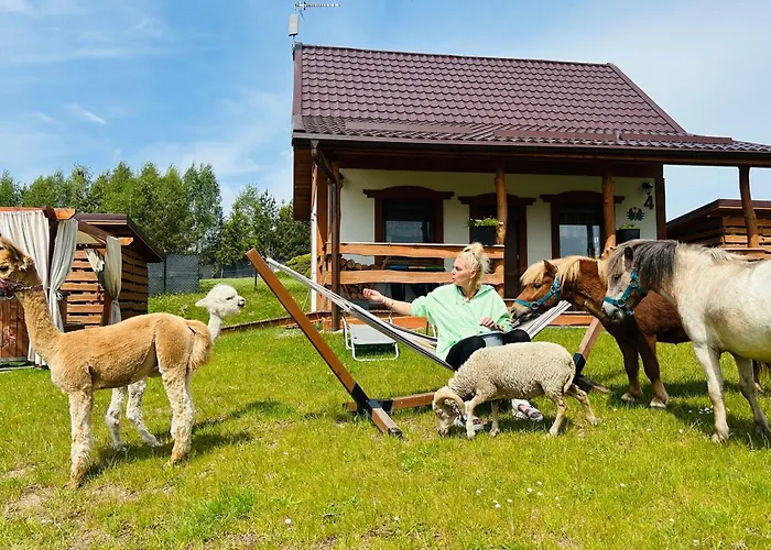 Domek Eden 1 Kaszuby balia sauna alpaki mini zoo