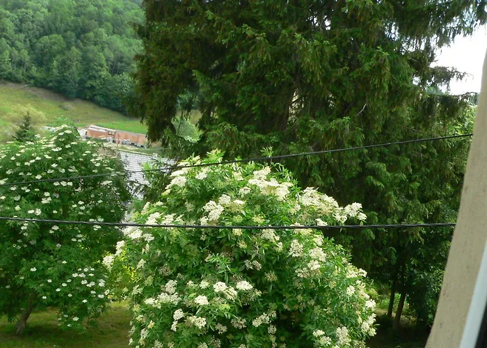 Stara Plebania