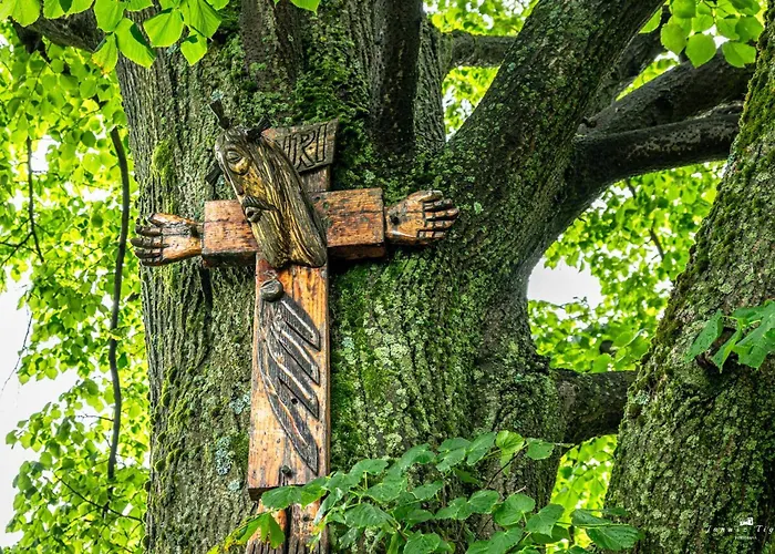 Lipowe Wzgórze Limanowa