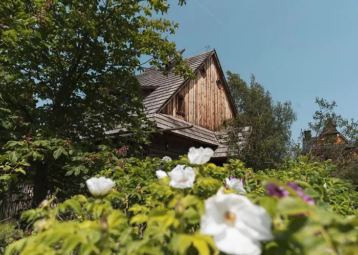 Polana Sosny