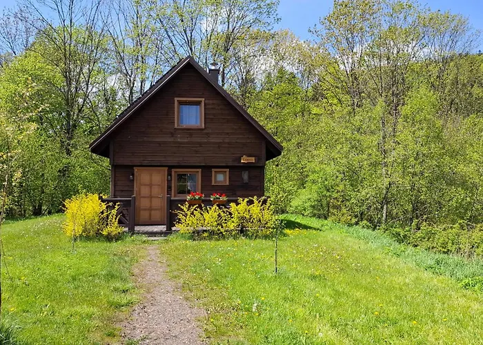 Magiczne Bieszczady - Krzywe 24