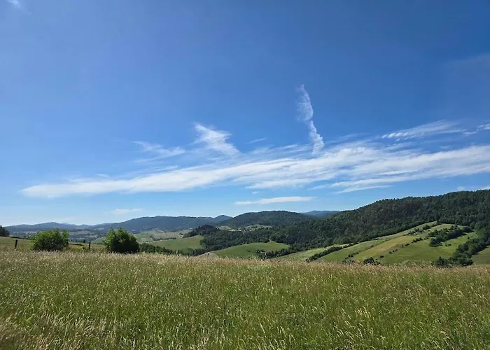 Jaśkowa Chata Bieszczady Z Basenem