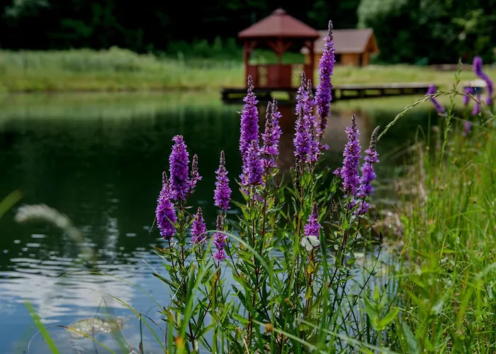 Apartament Heaven SPA z prywatnym jacuzzi i sauną
