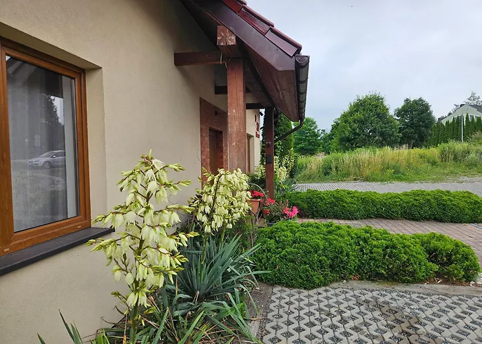 Wiśniowy Sad