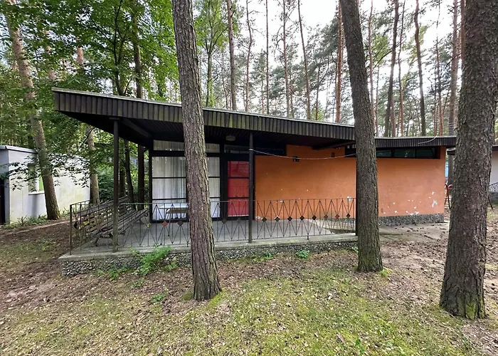 Lido