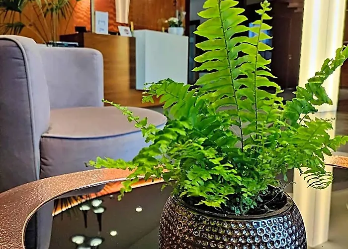 Bazuny Hotel&Spa
