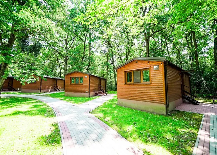 River Park Domki Wśród Drzew Wzdłuż Rzeki