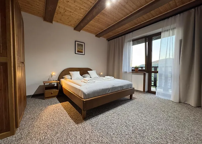 Niemczukówka 2