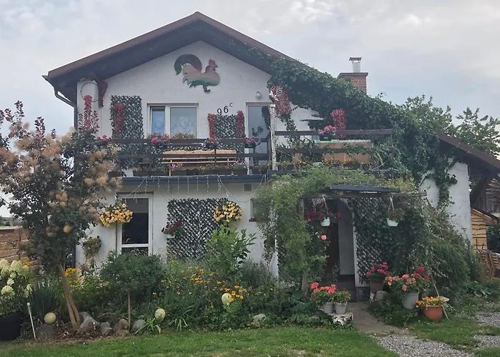 Agroturystyka Pod Kogutem