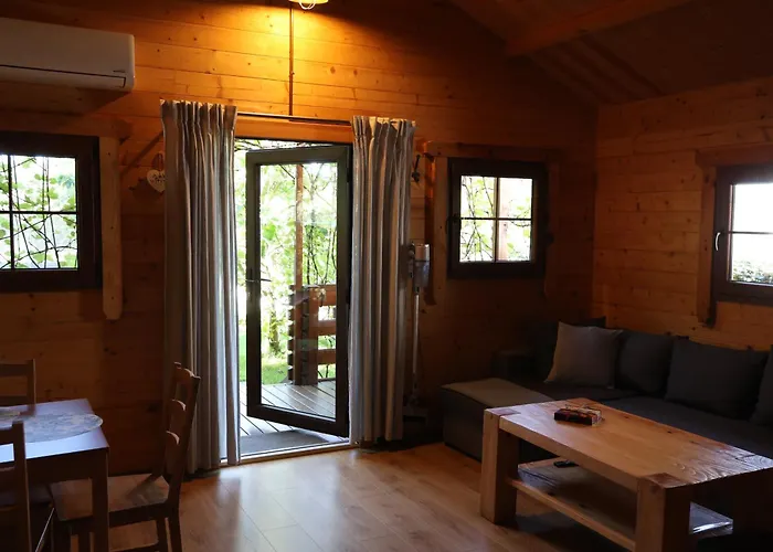 Domek letniskowy Zacisze pod Sosnami Trzęsacz