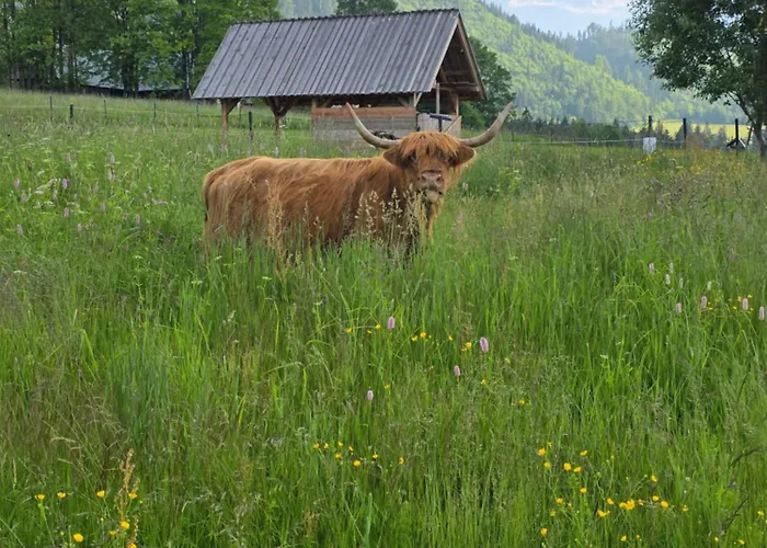 Siedlisko Kościelisko