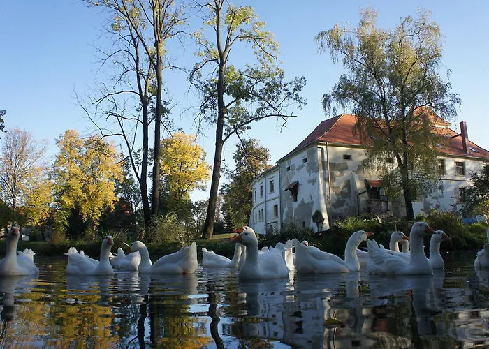 Piotrowice Nyskie Palace