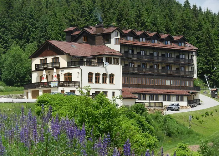 Zieleniec