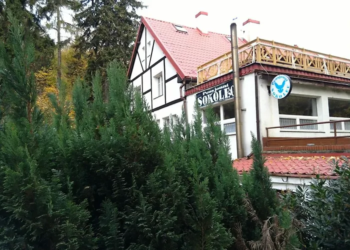 Sokolec
