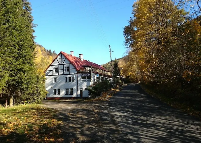 Sokolec