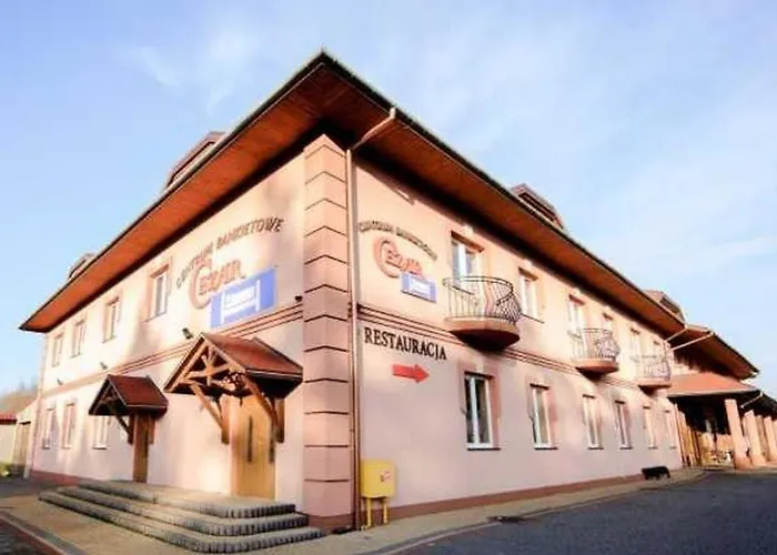 Centrum Cezar Zawiercie, Polska
