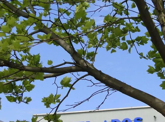 Hotel Aros Tychy, Polska