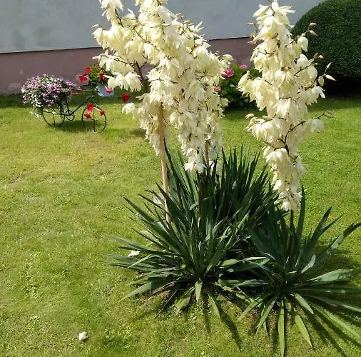 Na kemping! Zadzwoń!