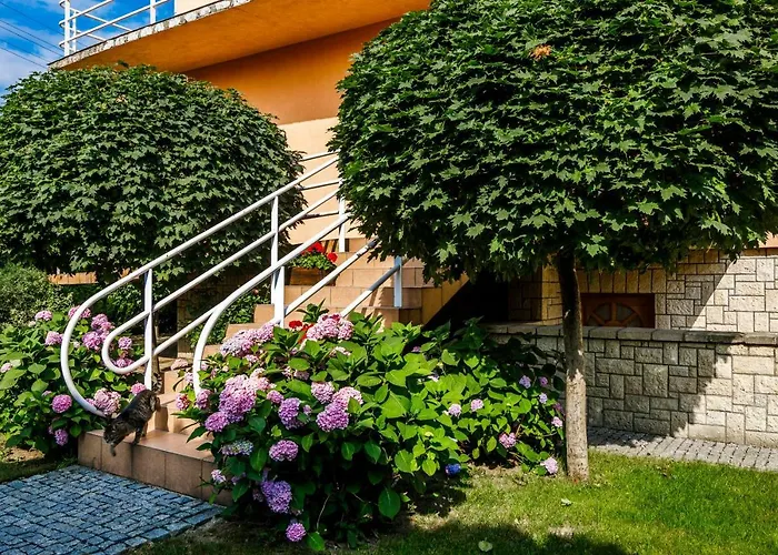 BeeApartments Żywiecka 49