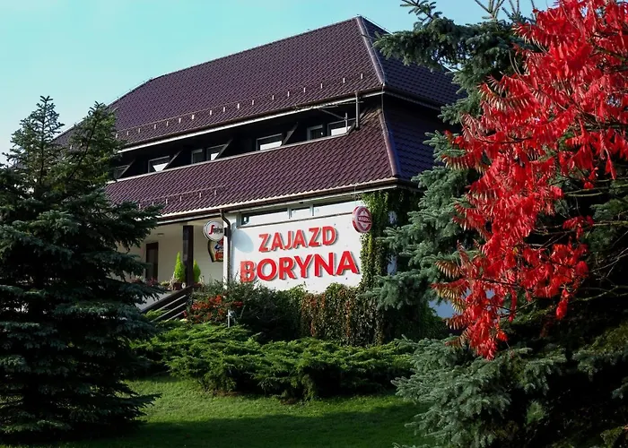 Boryna