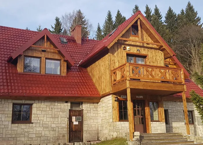 Czajka