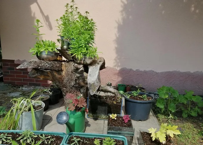 Mv Apartamenty Komfort